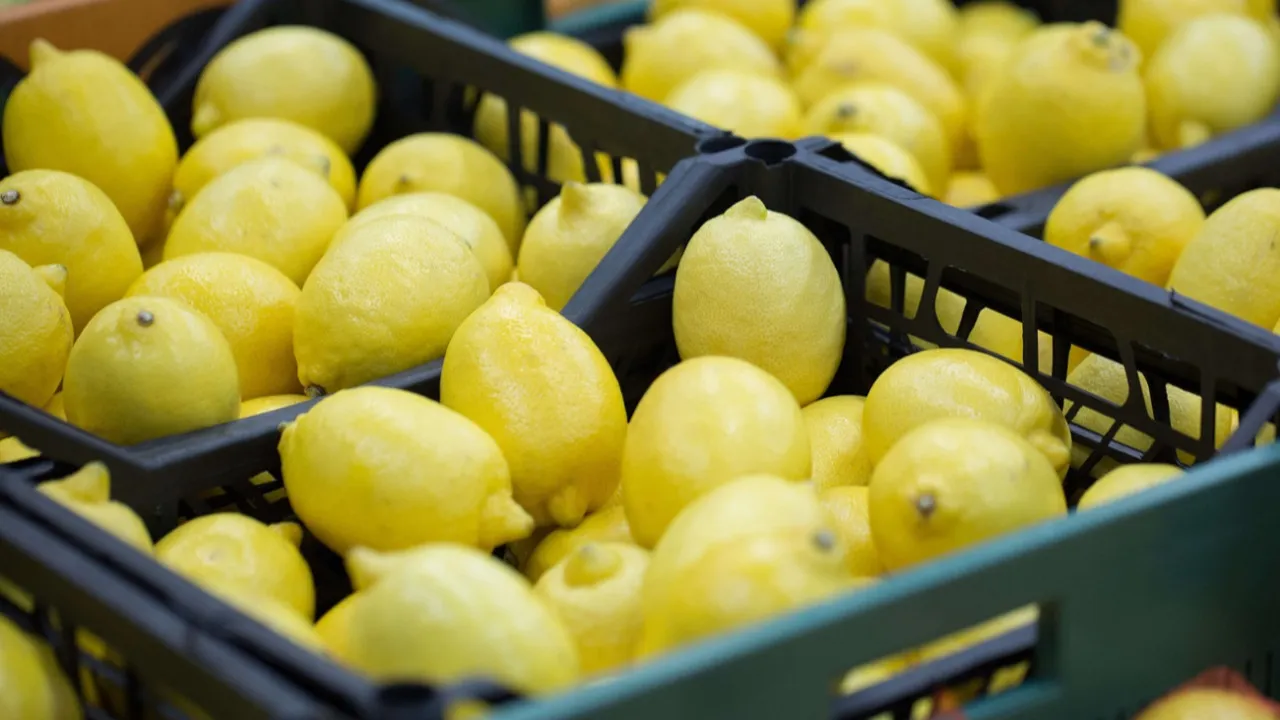 Her damlası altın değerinde! Şefler sır gibi saklıyordu: Bu taktiklerle limonlar su gibi akacak! - Resim: 4