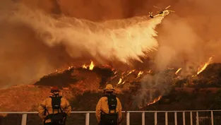 Hollywood’un kalbi Los Angeles alevler altında: Ortalık savaş alanına döndü!